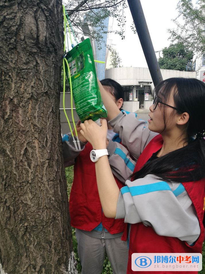 西南交通大學附屬中學開展大手牽小手，共建綠色校園