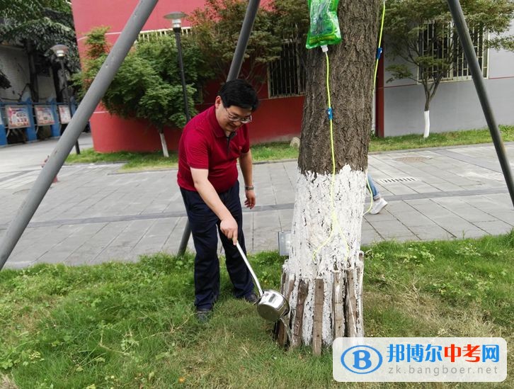 西南交通大學附屬中學開展大手牽小手，共建綠色校園