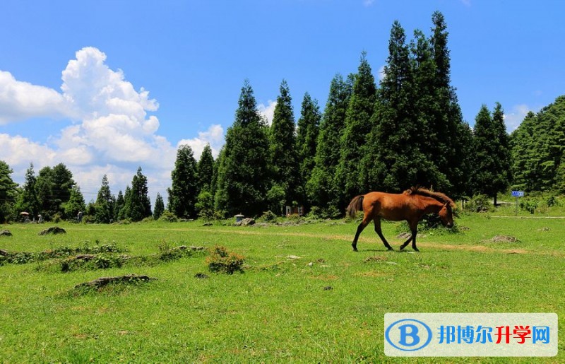 重慶市石柱中學(xué)校周邊景點(diǎn)