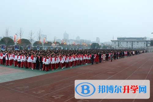 新年新氣象，追夢在路上