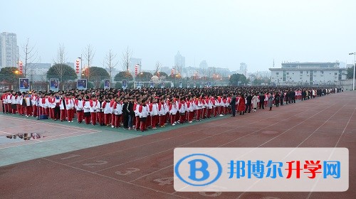 新年新氣象，追夢在路上