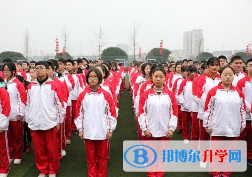 新年新氣象，追夢在路上