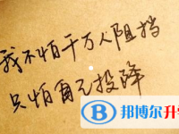 2020年綿陽中考重點(diǎn)復(fù)習(xí)資料