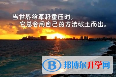 2020年達(dá)州中考的統(tǒng)招和調(diào)劑說明