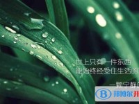 2020年內(nèi)江孩子中考家長(zhǎng)怎么做