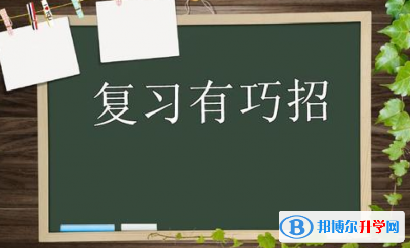 2020年樂(lè)山中考報(bào)名