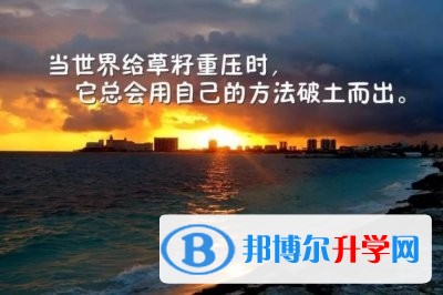 2020年眉山中考報(bào)名查詢