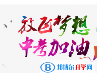 2020年自貢中考錄取結果查詢