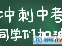 2020年邵通中考志愿如何填寫