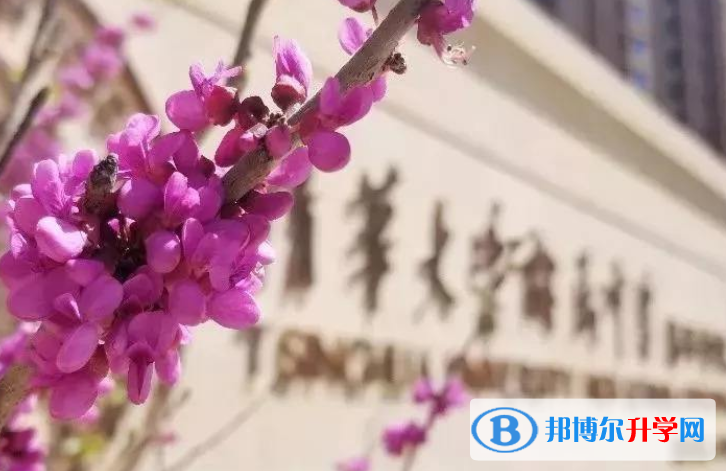 清華大學附屬中學國際部怎么樣、好不好