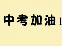 2021年西安查詢中考成績的熱線電話