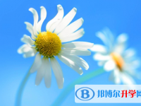 2021年寶雞中考網(wǎng)上報(bào)名模擬