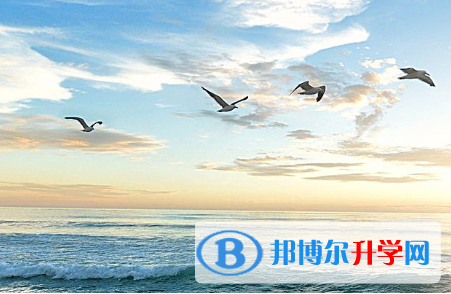  2021年寶雞中考怎么查詢(xún)