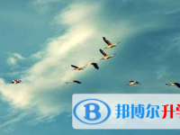 2021年宜賓中考可以報(bào)哪些學(xué)校