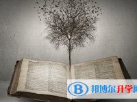 2021資陽中考查詢成績