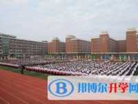 綿陽市東辰國際學校網站網址