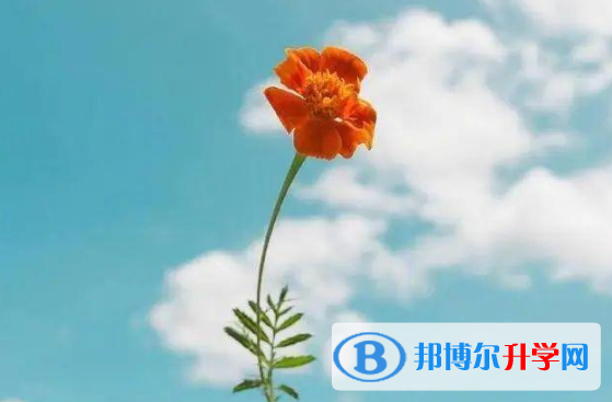 2021年咸陽中考推薦生自薦信