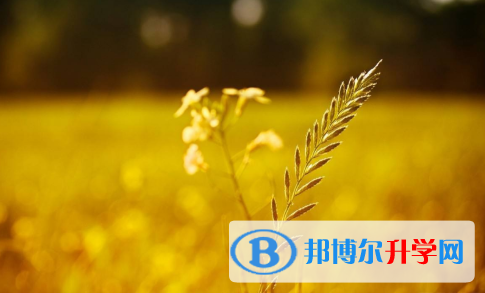 2021年渭南中考報(bào)考人數(shù)