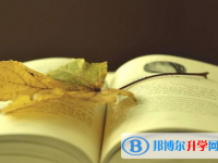 重慶中考志愿官網(wǎng)