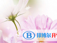 2021年涼山中考錄取報(bào)名網(wǎng)