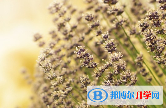 保定2021年中考報(bào)名網(wǎng)站登錄