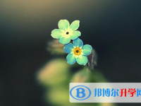 唐山2021年中考志愿怎么填報(bào)