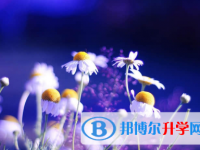 秦皇島2021年查詢中考成績上哪個網(wǎng)站