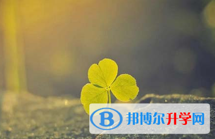 承德2021年中考報(bào)名號(hào)