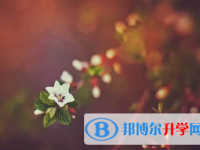 承德2021年中考成績什么時候公布