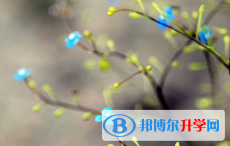 承德2021年中考錄取報(bào)名網(wǎng)