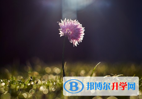 承德2021年中考網(wǎng)上報(bào)名模擬