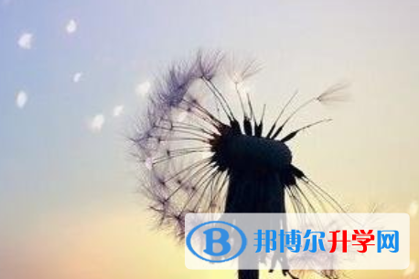 成都2021年今年中考統(tǒng)招線包括哪些區(qū)域