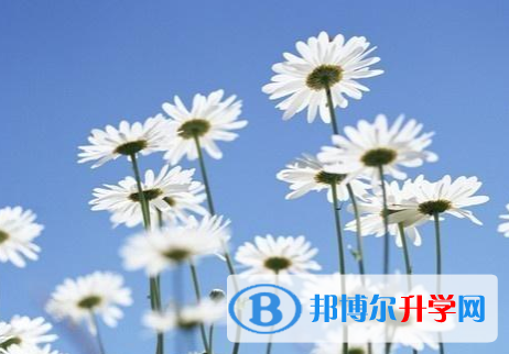 成都2021年中考推薦生自薦信