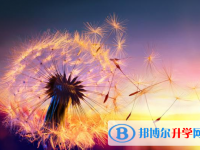 成都2021年中考如果未被錄取怎么辦