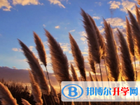 成都2021年中考的報名號是什么