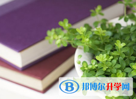 成都2021年怎么寫中考自薦書