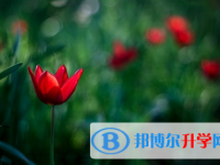 成都2021年中考報(bào)名是哪個(gè)網(wǎng)站