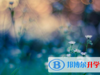 成都2021年中考志愿如何填報(bào)