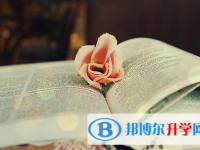 成都2021年中考志愿填報(bào)技巧