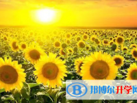 成都2021年中考志愿填報(bào)網(wǎng)址