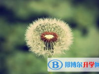 攀枝花2021年中考考點(diǎn)有哪幾個(gè)