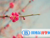 攀枝花2021年中考報名是哪個網(wǎng)站