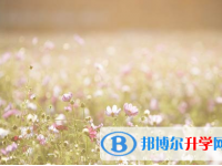 攀枝花2021年中考報名網(wǎng)站登錄