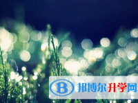 瀘州2021年中考報(bào)名平臺(tái)