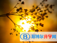 瀘州2021年中考報(bào)名網(wǎng)