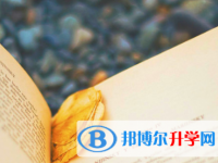 瀘州2021年中考報(bào)名網(wǎng)站