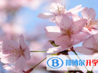 瀘州2021年中考網(wǎng)上報(bào)考信息平臺(tái)