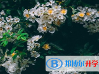 瀘州2021年中考網(wǎng)上報(bào)名