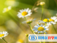 瀘州2021年中考報(bào)名是哪個(gè)網(wǎng)站