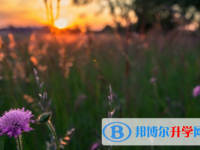 瀘州2021年中考報(bào)名網(wǎng)站是什么